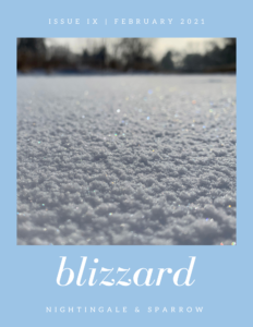 N&S Issue IX blizzard