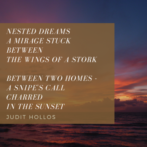 Nested Dreams