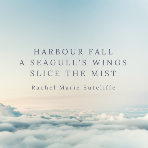 Harbour Fall
