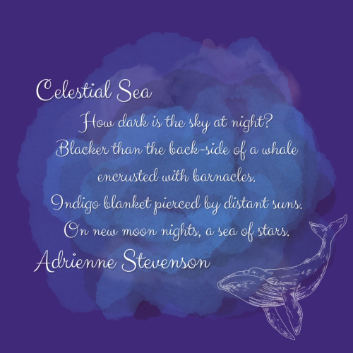 Celestial-Sea-Adrienne-Stevenson