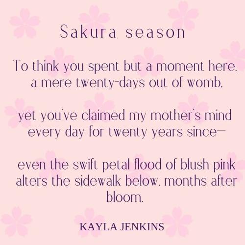 Sakura-season-sakura