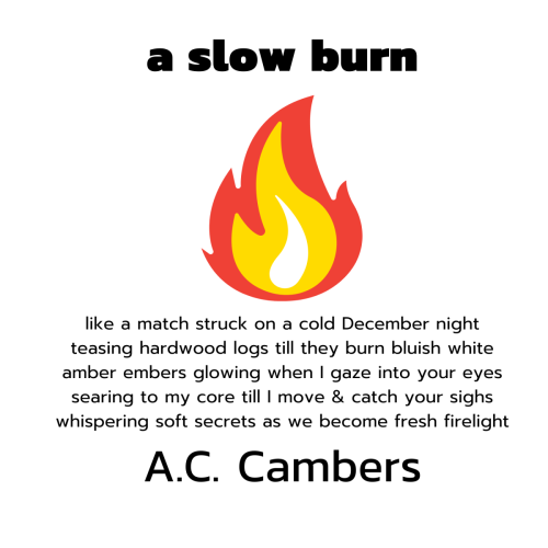 a slow burn - A.C. Cambers