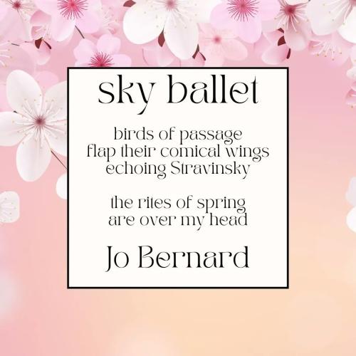 sky-ballet-sakura